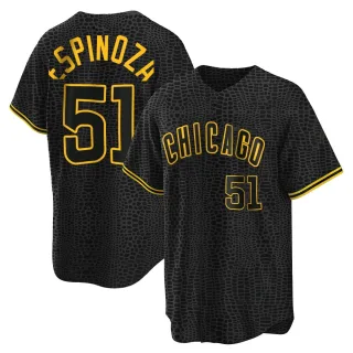 Men's Replica Black Anderson Espinoza Chicago Cubs Snake Skin City Jersey